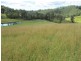 Nymboida NSW 2460