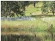 Nymboida NSW 2460