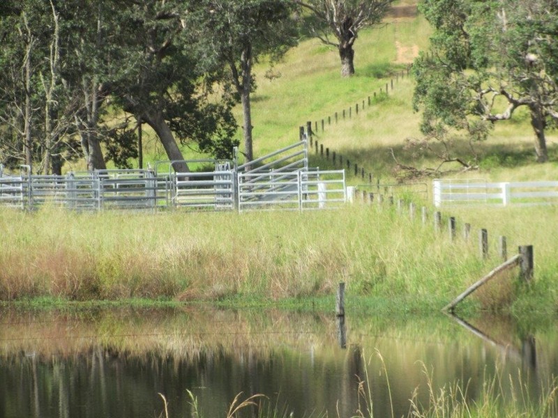 Nymboida NSW 2460