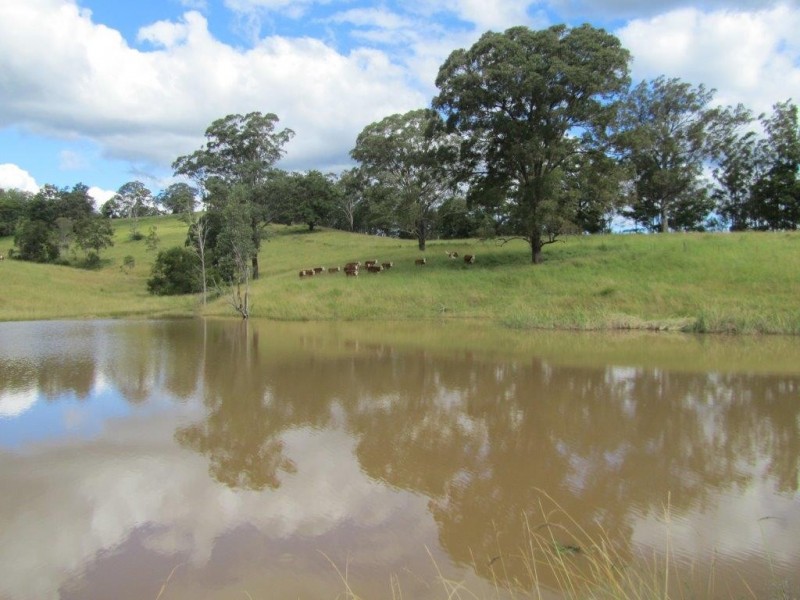 Nymboida NSW 2460