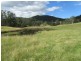 Nymboida NSW 2460