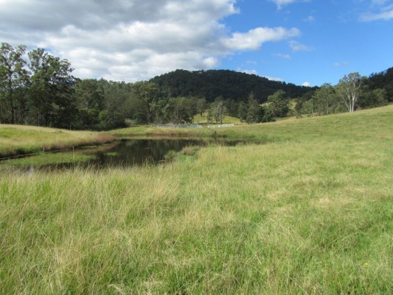 Nymboida NSW 2460