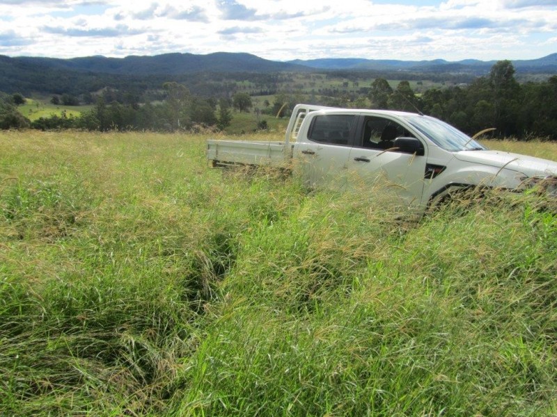 Nymboida NSW 2460