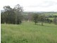 Nymboida NSW 2460