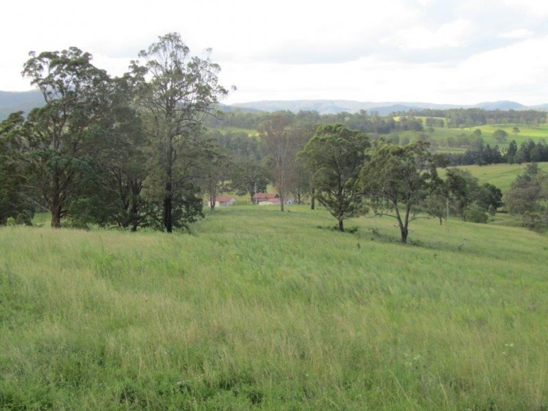 Nymboida NSW 2460