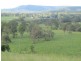 Nymboida NSW 2460
