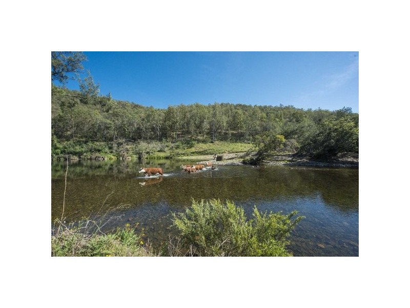 Nymboida NSW 2460