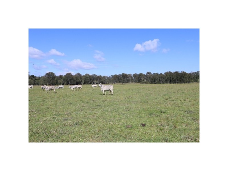 “Clarence Peak” 869 Brooms Head, Taloumbi NSW 2463
