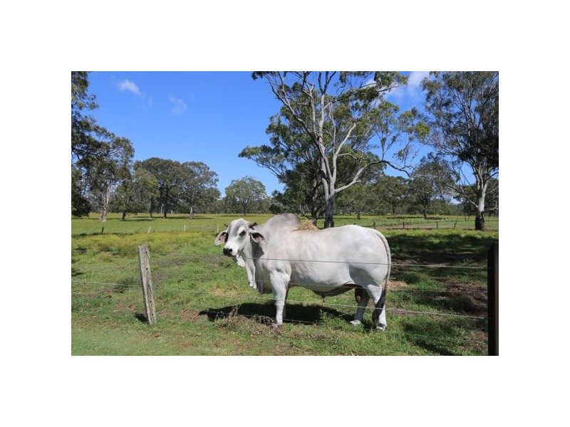 “Clarence Peak” 869 Brooms Head, Taloumbi NSW 2463