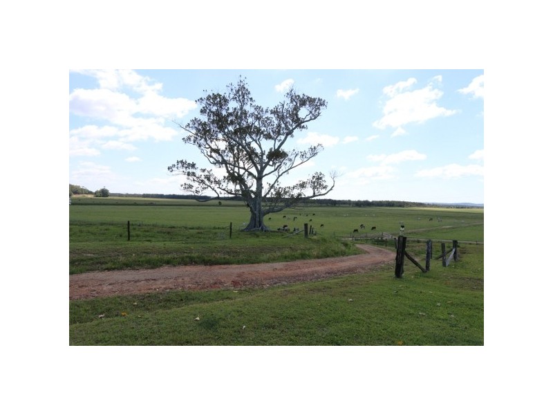 “Clarence Peak” 869 Brooms Head, Taloumbi NSW 2463