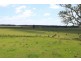 “Clarence Peak” 869 Brooms Head, Taloumbi NSW 2463
