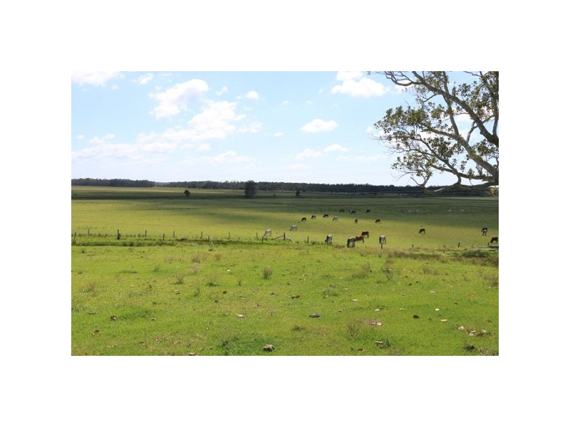 “Clarence Peak” 869 Brooms Head, Taloumbi NSW 2463