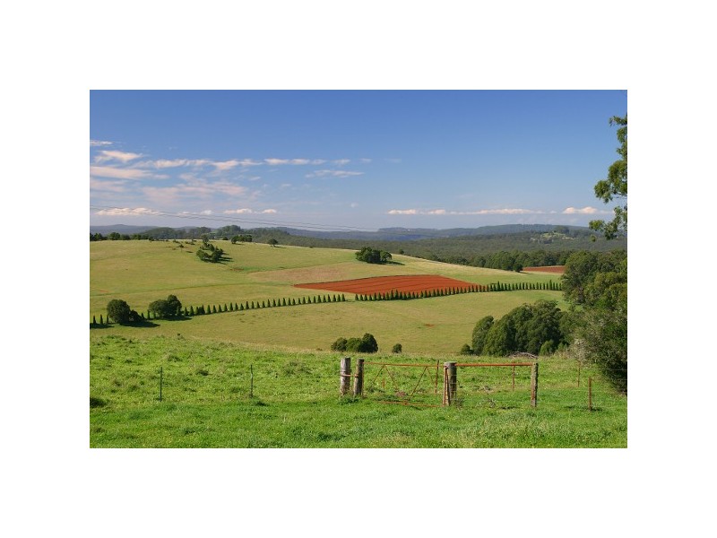” Royalla” 375 Pearsons Lane, Robertson NSW 2577