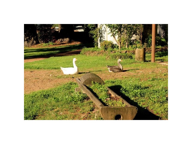 ” Royalla” 375 Pearsons Lane, Robertson NSW 2577