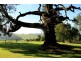 ” Royalla” 375 Pearsons Lane, Robertson NSW 2577