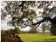 ” Royalla” 375 Pearsons Lane, Robertson NSW 2577