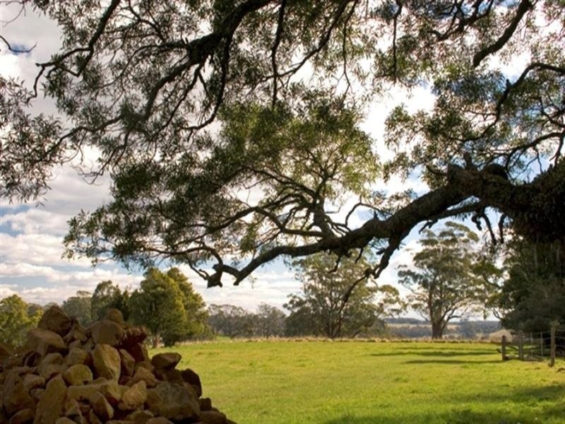 ” Royalla” 375 Pearsons Lane, Robertson NSW 2577