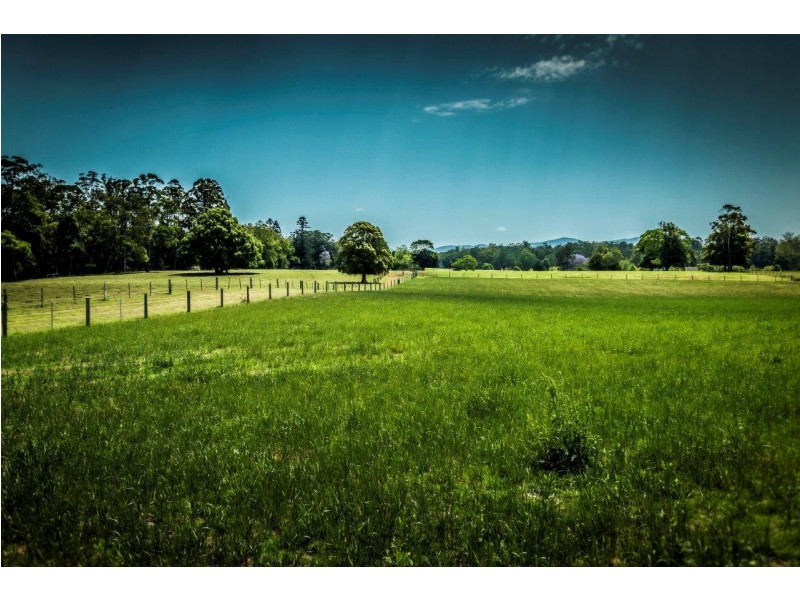 Bellingen NSW 2454