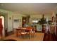 Scone NSW 2337