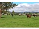 Scone NSW 2337