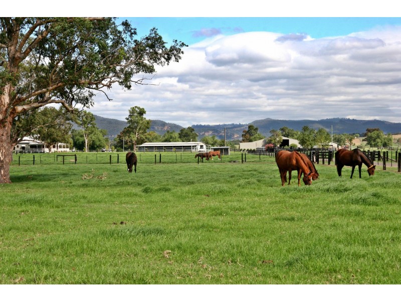 Scone NSW 2337