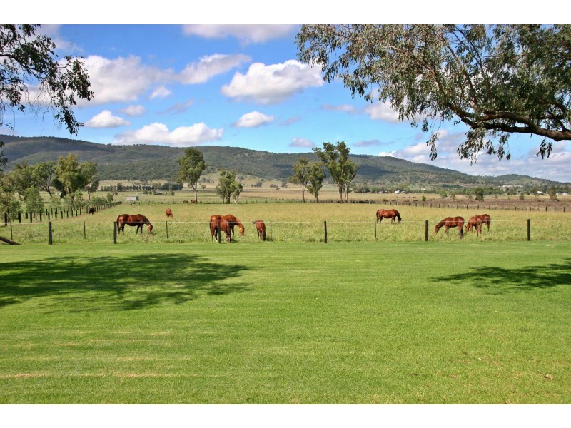 Scone NSW 2337
