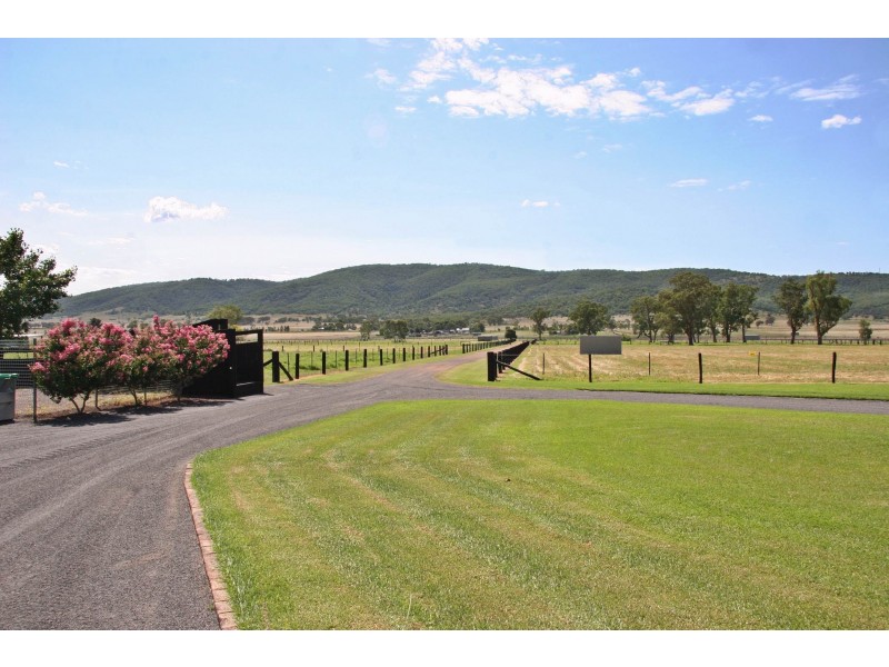 Scone NSW 2337
