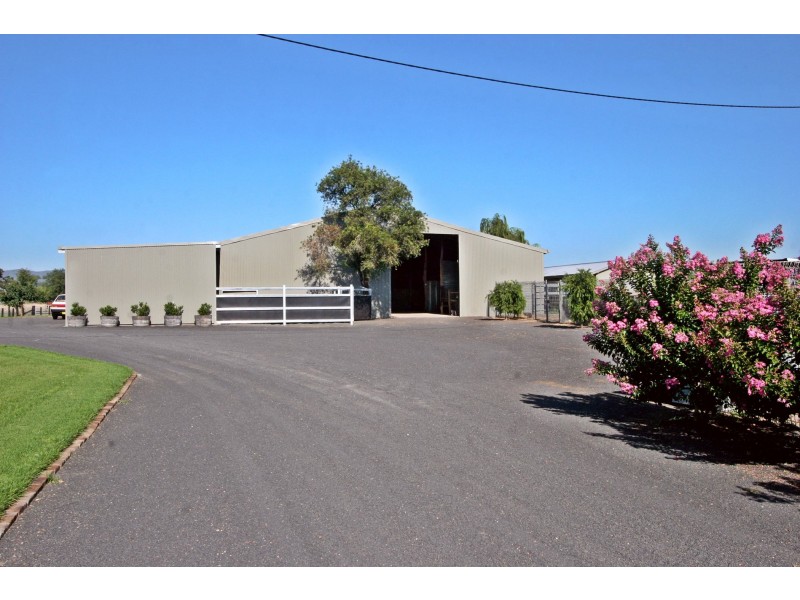 Scone NSW 2337
