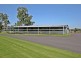 Scone NSW 2337