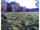 “Willowood” 3777 Tumbarumba Road, Carabost NSW 2650