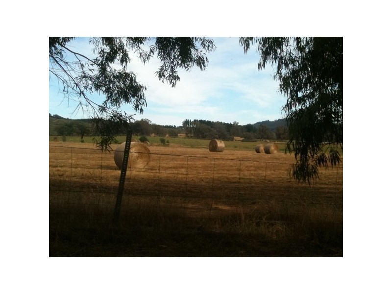“Willowood” 3777 Tumbarumba Road, Carabost NSW 2650