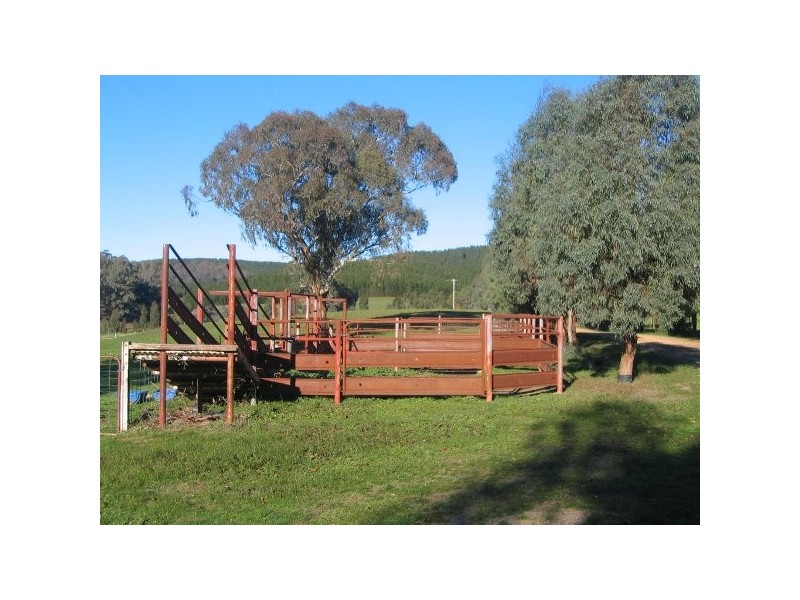 “Willowood” 3777 Tumbarumba Road, Carabost NSW 2650