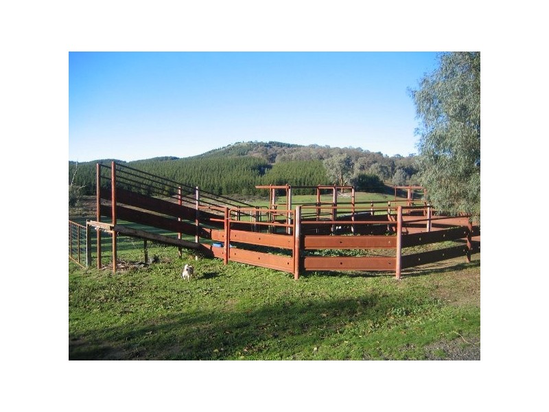 “Willowood” 3777 Tumbarumba Road, Carabost NSW 2650