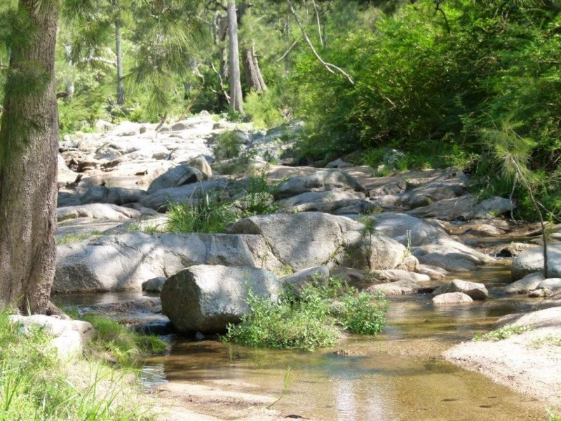 Illawambra 813 Yowrie Road, Cobargo NSW 2550