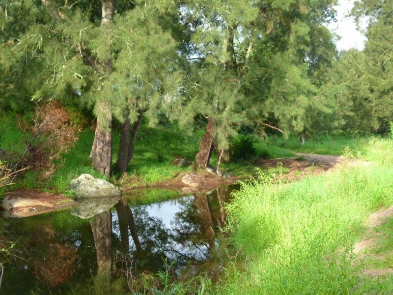 Illawambra 813 Yowrie Road, Cobargo NSW 2550