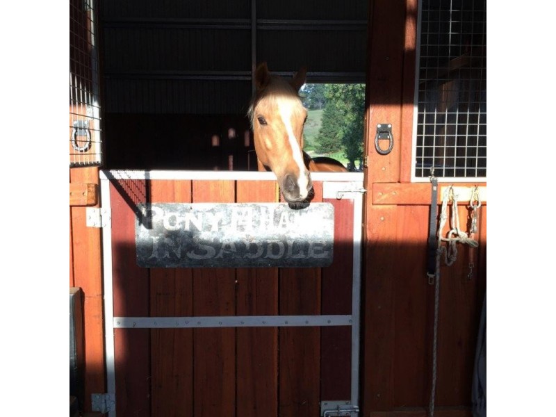 Illawambra 813 Yowrie Road, Cobargo NSW 2550