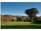 Camyr Allyn North, East Gresford NSW 2311