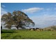 Camyr Allyn North, East Gresford NSW 2311