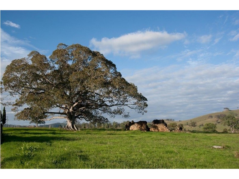 Camyr Allyn North, East Gresford NSW 2311