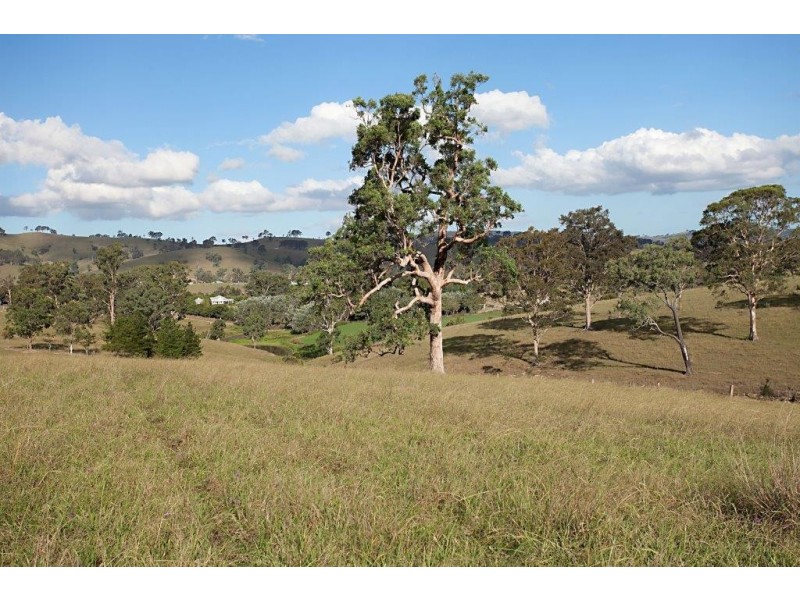 Camyr Allyn North, East Gresford NSW 2311