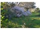 “Nanima” 7009 Goolma Road, Wellington NSW 2820