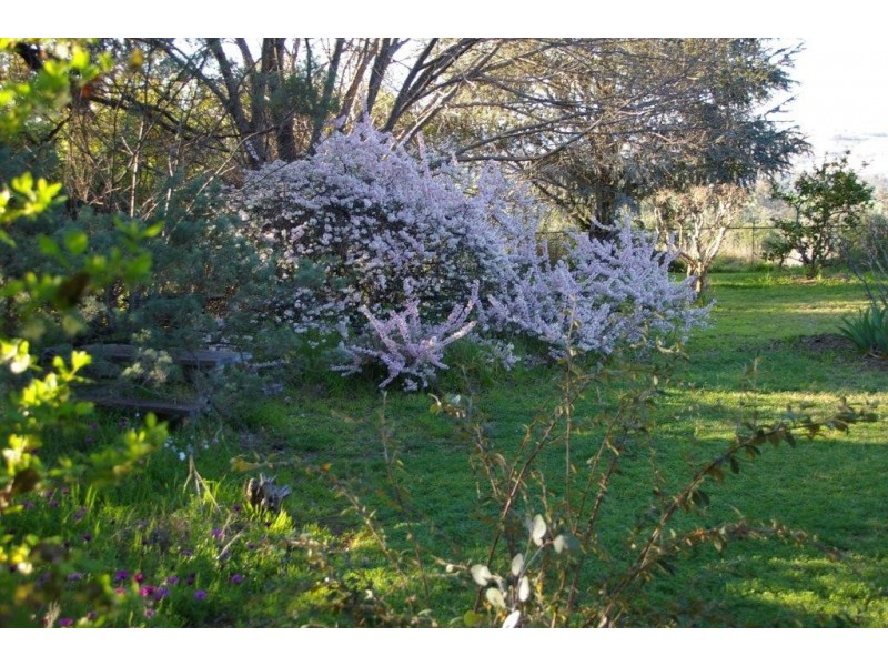 “Nanima” 7009 Goolma Road, Wellington NSW 2820