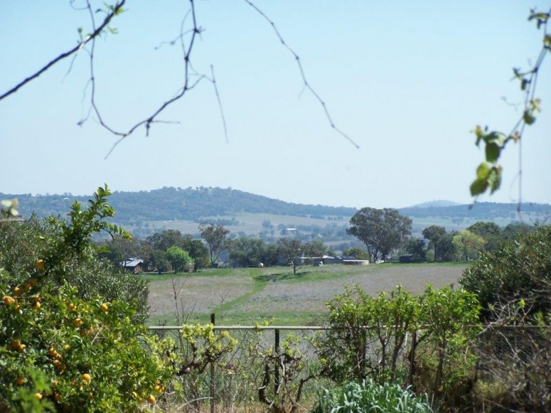 “Nanima” 7009 Goolma Road, Wellington NSW 2820