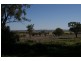 “Nanima” 7009 Goolma Road, Wellington NSW 2820