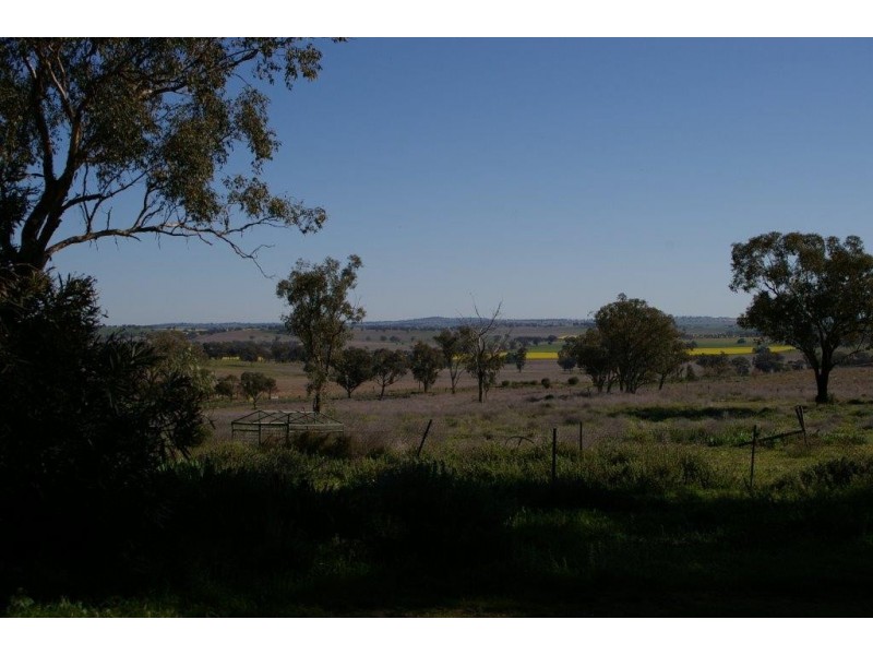 “Nanima” 7009 Goolma Road, Wellington NSW 2820