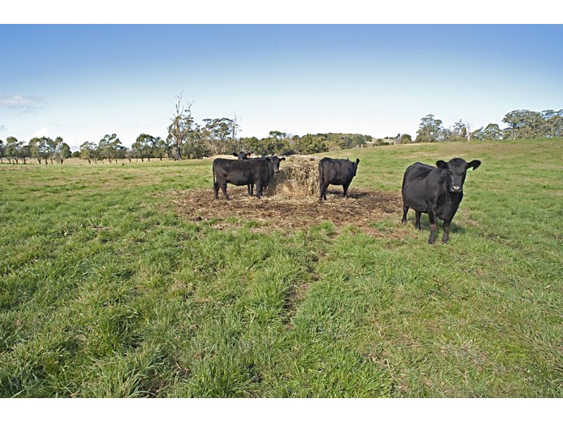 Headwater 1785 Kangaloon Road, Kangaloon NSW 2576