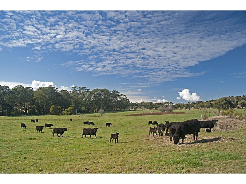 Headwater 1785 Kangaloon Road, Kangaloon NSW 2576