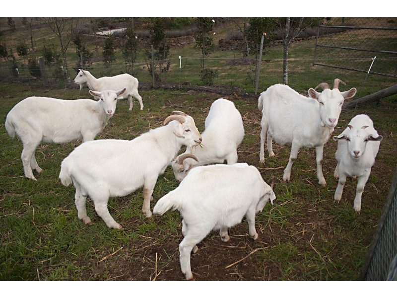 Headwater 1785 Kangaloon Road, Kangaloon NSW 2576