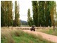 “Galwary” 1004 Amaroo Way, Eugowra NSW 2806