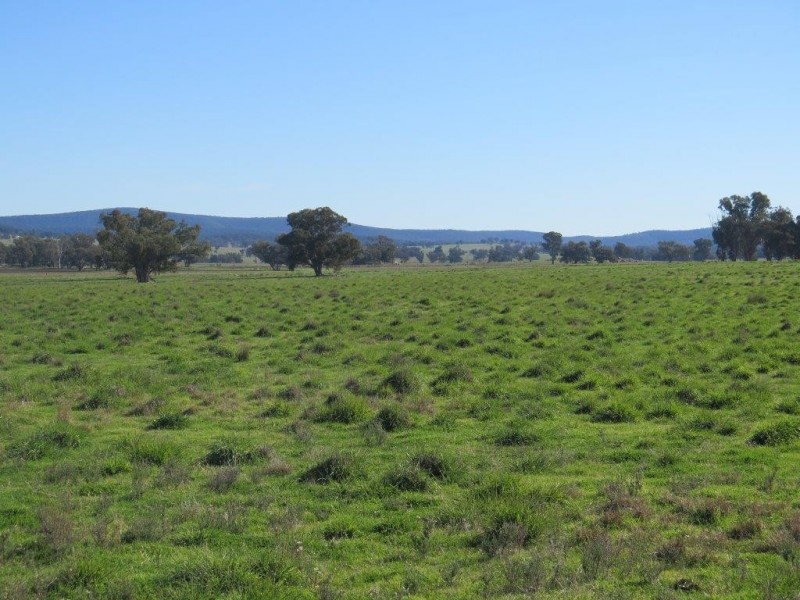 “Galwary” 1004 Amaroo Way, Eugowra NSW 2806